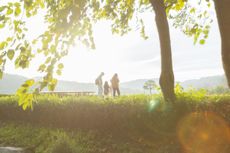 How Much Value Does a Solar Roofing System Add to a Canadian Home in 2025?